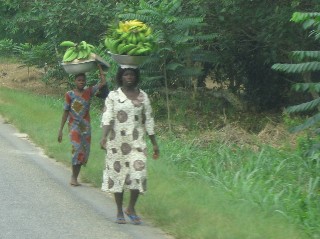 Gatherers