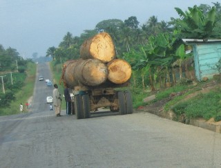 Log Trucks