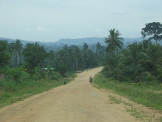 Beautiful Vistas
