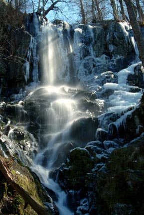 Lewis Falls