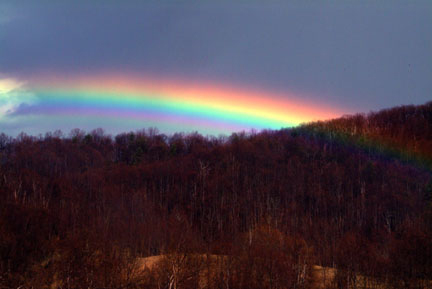 Rainbow
